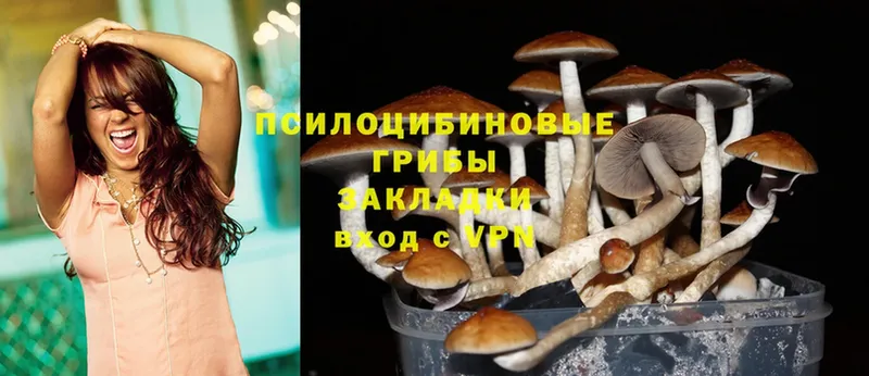 нарко площадка какой сайт  закладки  Киреевск  Псилоцибиновые грибы Magic Shrooms 